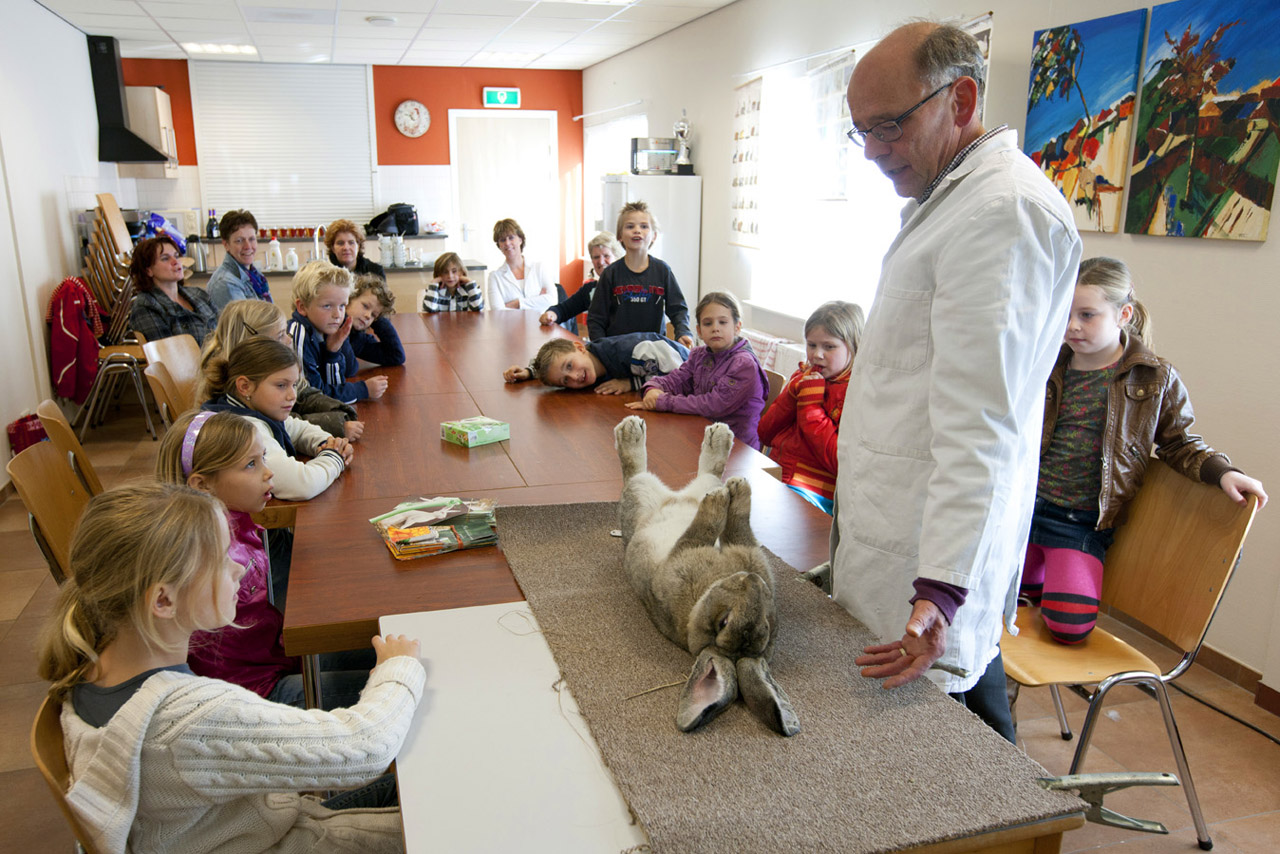 Leerlingen van groep 4 van basisschool Het Hoge uit Vorden krijgen bij de kleindierenshow uitleg van de keurmeester over de keuring bij de show.