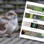 Nederlandse vogelkalender 2023
